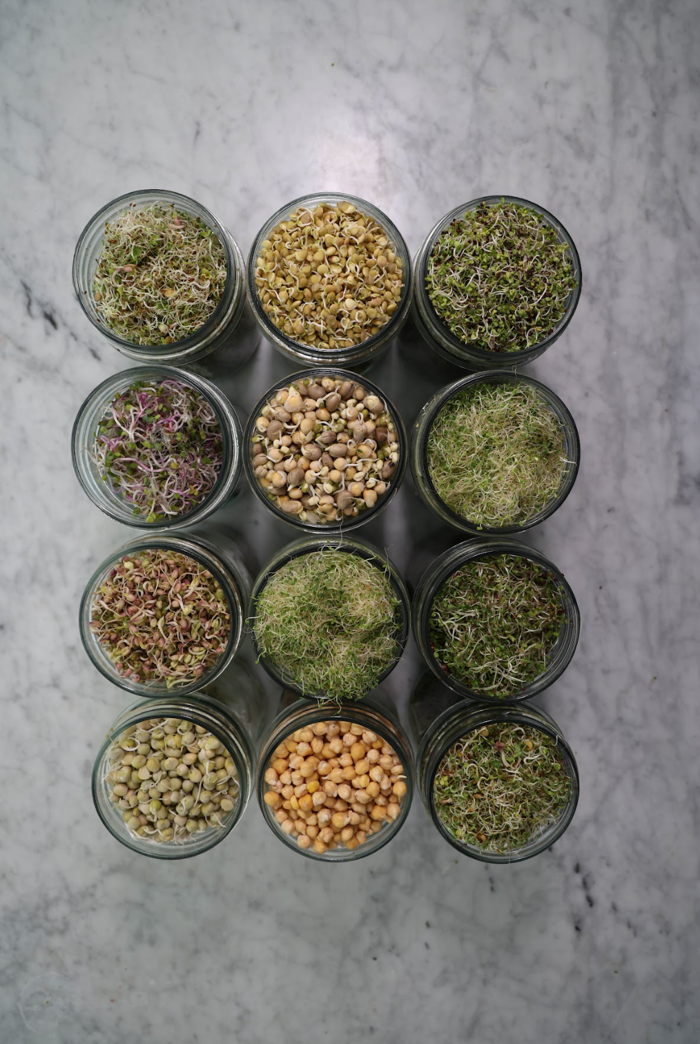 Unlocking the Nutritional Power of Broccoli Sprouts