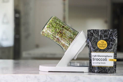 Boost Your Workout Recovery with Broccoli Sprouts