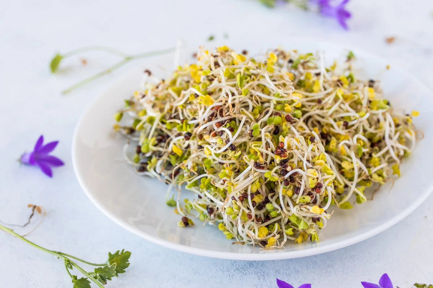 broccoli sprouts in a dish